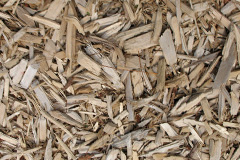 biomass boilers Burrastow
